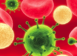 CDC studies infection control | Healthcare IT News