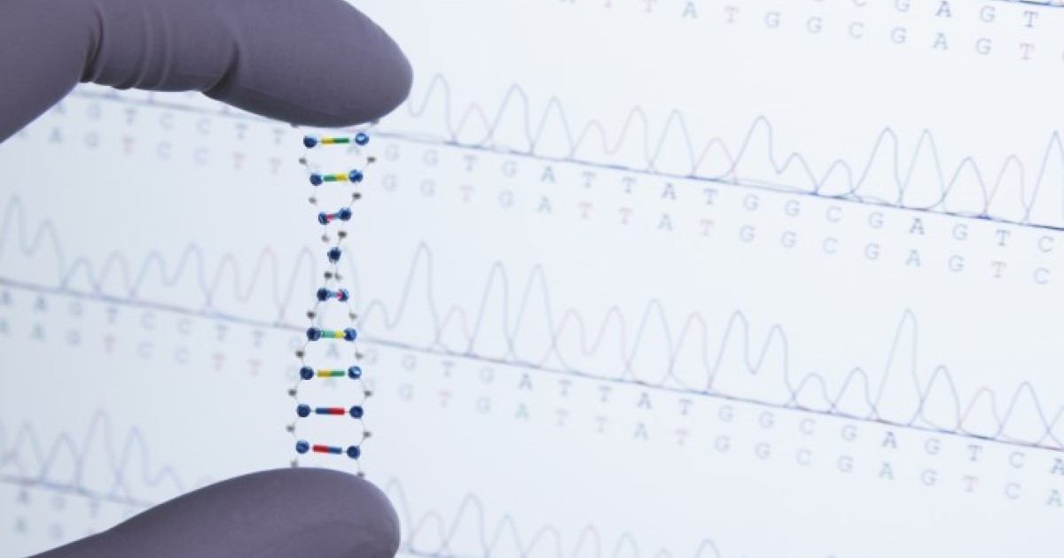 precision medicine - fingers hold strand of DNA