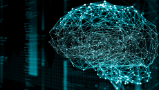 An abstract in the shape of a brain as a connected network