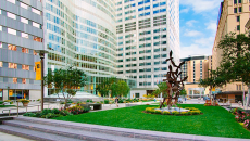 Green space at Mayo Clinic