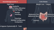 VisualDX uses 'sympticons,' pictured here, to make it easy for practitioners to understand the key differences between each disease.