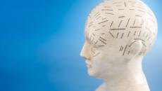 Phrenology head